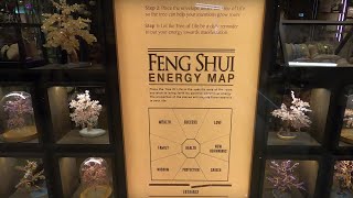 Feng shui energy map | Tree of Life Home Decor by Karma and Luck | Gopro Hero8 Black 4k Footage