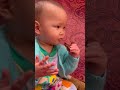 【baby eats pigeon】鳩の頭を食う一才児 鳩の丸焼きは、中国広州の名物！