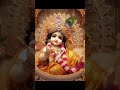 snan karaya woh bhog lagaye makhanchor gopinath viral laddugopal youtube