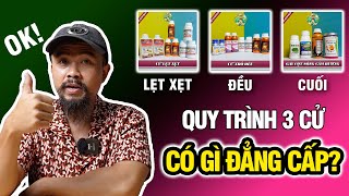 Quy Trình Lẹt Xet, Đều Vs Cuối Cho Lúa- Đẳng Cấp Điền Râu Mang Đến Sự Khác Biệt