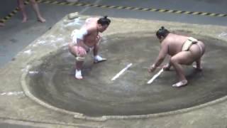 20170503 大相撲夏場所　稽古総見　横綱日馬富士ｖｓ高安など