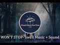 WON'T STOP - Swell Music + Sound (No Copyright Music)