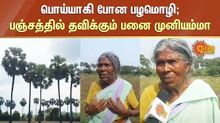 பொய்யாகி போன பழமொழி; பஞ்சத்தில் தவிக்கும் பனை முனியம்மா | Panai Muniyamma Sad Story | Perambalur