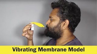 Vibrating Membrane Model | DIY Science | ThinkTac