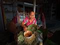 Sego pecel godong jati