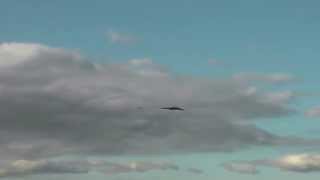 Vulcan XH558 and Gnat Display Team -Missing Man Formation