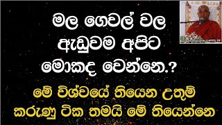 ශෝක නැතිව ජීවත් වෙන්නේ කෙසේද.?||Koralayagama Saranathissa Himi |ධර්ම දේශනා |Budu Bana