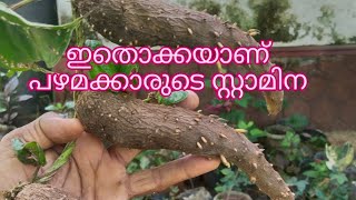 പഴമക്കാരുടെ ആരോഗ്യ രഹസം ഇതൊക്കയാണ് #naturalfood #viralvideo #helthyfood #stamina #youtubevideo