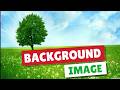 How to add Background Image in Html using CSS Full Screen | Html Css