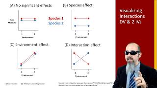 13.8 Multiple Linear Regression: Interaction Terms
