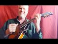 the bluegrass kitten by mando mo strings