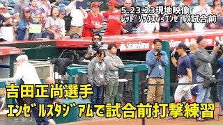 5.23.23現地 エンゼルスタジアムで試合前打撃練習の吉田正尚選手 RedSox レッドソックス Angels エンゼルス 現地映像 Shohei Ohtani 大谷翔平