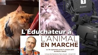 L'Éduchateur et ses chats vous invitent à \