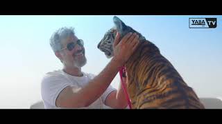 Dubai Yacht Life | Fareed Lafta | Love For Tigers | Yalla TV