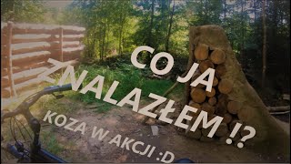 NIEMCY - CZYLI JAK DOJECHAĆ KOZĄ NA BIKEPARK