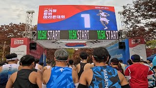 손기정 마라톤대회 10km 17위