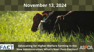 Advocating for Higher-Welfare Farming in the New Administration: What’s Next Post-Election?