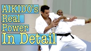 Aikido's Real Power In Detail