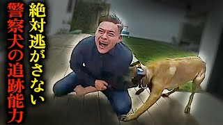 警察犬が犯人を捕らえる瞬間