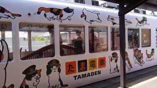 和歌山電鐵　たま駅長とニタマ駅長　StationMaster Tama \u0026 Nitama