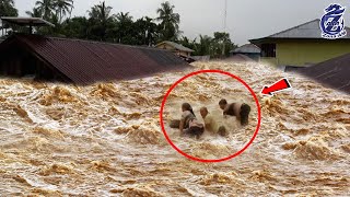 Baru Saja Terjadi, Banjir Bandang Lumpur Sapu Tulungagung Hari ini, Warga Panik Menyelamatkan Diri.!