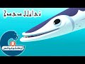 9 أوكتونوتس | الباراكودا | السلسلة 3 | الحلقة