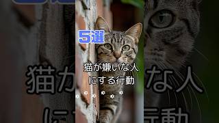 @humanity_neko22 ←その他の動画はこちら　猫が嫌いな人にする行動5選 #cat #ねこのこと #shorts_video #ねこと生きる #猫のいる暮らし #猫動画