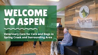 Aspen Veterinary Clinic | Dog and Cat Care in Eastern Nevada