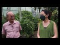 secret rooftop garden 30 000 sqft tour 18 pro gardening tips with botanist dr francis ng