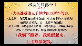 詩篇      07      詩 3篇          大衛逃避他兒子押沙龍時所作的詩 求助的禱告     20250128