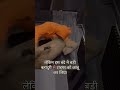 are lion friendly to human आधी रात में अप्रत्याशित मुलाकात 😱🫡 shorts ytshorts