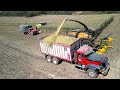 Corn Silage Harvest with New Holland FR920 and Claas 990 Forage Harvesters