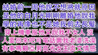 結婚前一周他說不想將就原因是他的白月光剛剛離婚他說我學的再像也不是她我剪去長髮 穿上機車服他又說我不女人 沒人要回來吧可電話裏我老婆洗澡 有事嗎顧亞男高光女主爽文情感