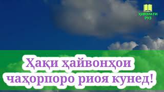 Ҳадиси Паёмбар (с). Ҳақи ҳайвонҳои чаҳорпоро риоя кунед.