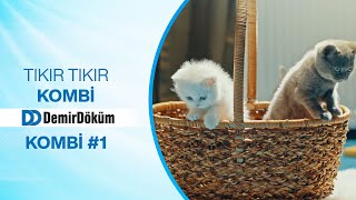 Tıkır Tıkır Kombi DemirDöküm Kombi #1