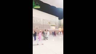 Kahan ma kahan ye madinay ki galliyan | naat |qari waheed zafar | short clip