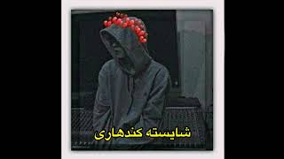 پشتو نوی سندره اهنګ پشتو کندهاری #pashto