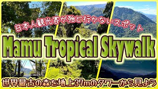 【ケアンズお薦めツアー】日本人観光客が殆ど行かないスポット！　「MAMU TROPICAL SKY WALK」　第531ページ　AUSTRALIA CAIRNS CHANNEL