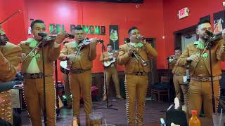 Dallas Tx garland. Mariachi arraigo  de America USA 2144039118  ala antiguita