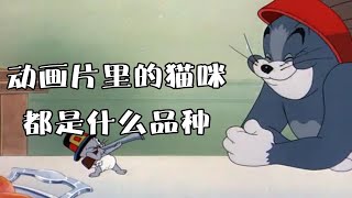 动画片里的猫咪都是什么品种？