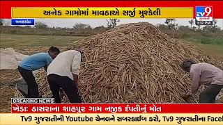 Farmers stare at huge 'bajra' crop loss due to heavy rains, Banaskantha |Gujarat Rains |TV9News