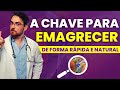 Base hormonal metabólica entenda porque ela é a chave para o sucesso no emagrecimento rápido