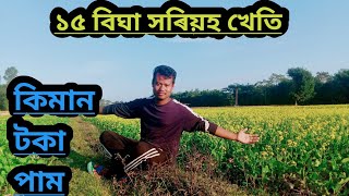 ১৫ বিঘা সৰিয়হ খেতি!/ কিমান টকা পাম???/  জানিব বিচাৰে নেকি!!