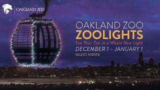 ZooLights 2017 Commercial