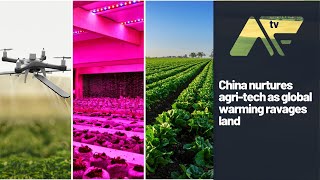 China nurtures agri-tech as global warming ravages land