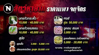 ไฟไหม้ “จตุจักร” วอด 118 ล็อก สัตว์ตายนับพัน | เนชั่นทันข่าวเย็น | NationTV22