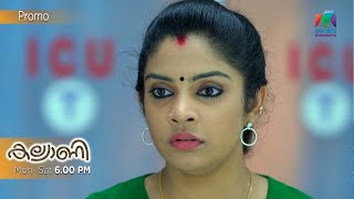 മാലിനിയുടെ ചതിയിൽ അകപ്പെട്ട് മേനോൻ  ! | Kalyani | 01-06-2022