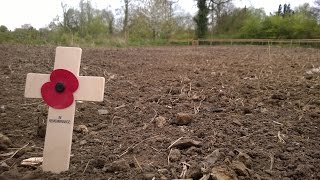 Sowing Wincanton's Memorial Meadow