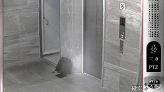 Missing & Left Objects Detection