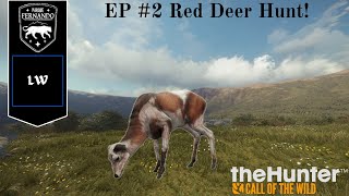 Red Deer hunt! With beautiful Piebald Red Deer! - Thehunter Call of the Wild